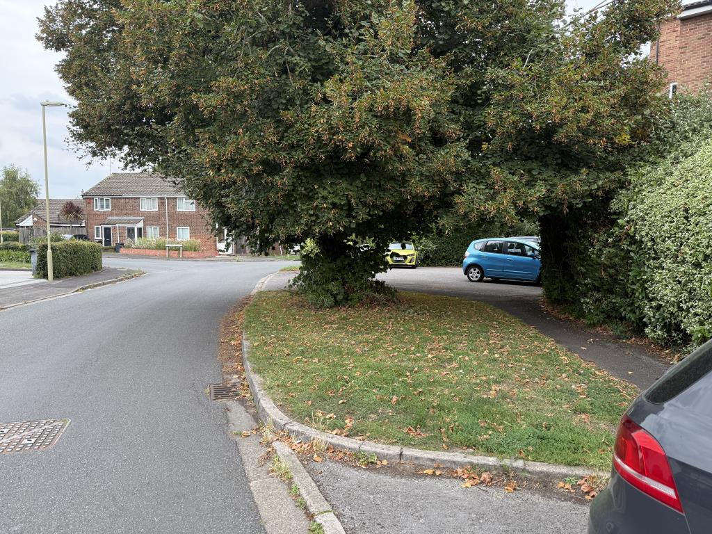 Lot: 36 - FREEHOLD PARCELS OF LAND, ACCESSWAYS AND PARKING AREAS - Grass with mature tree